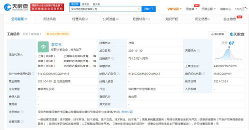 信息系統集成服務的價值與實施策略
