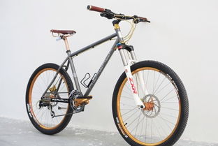 復(fù)古自行車(chē)