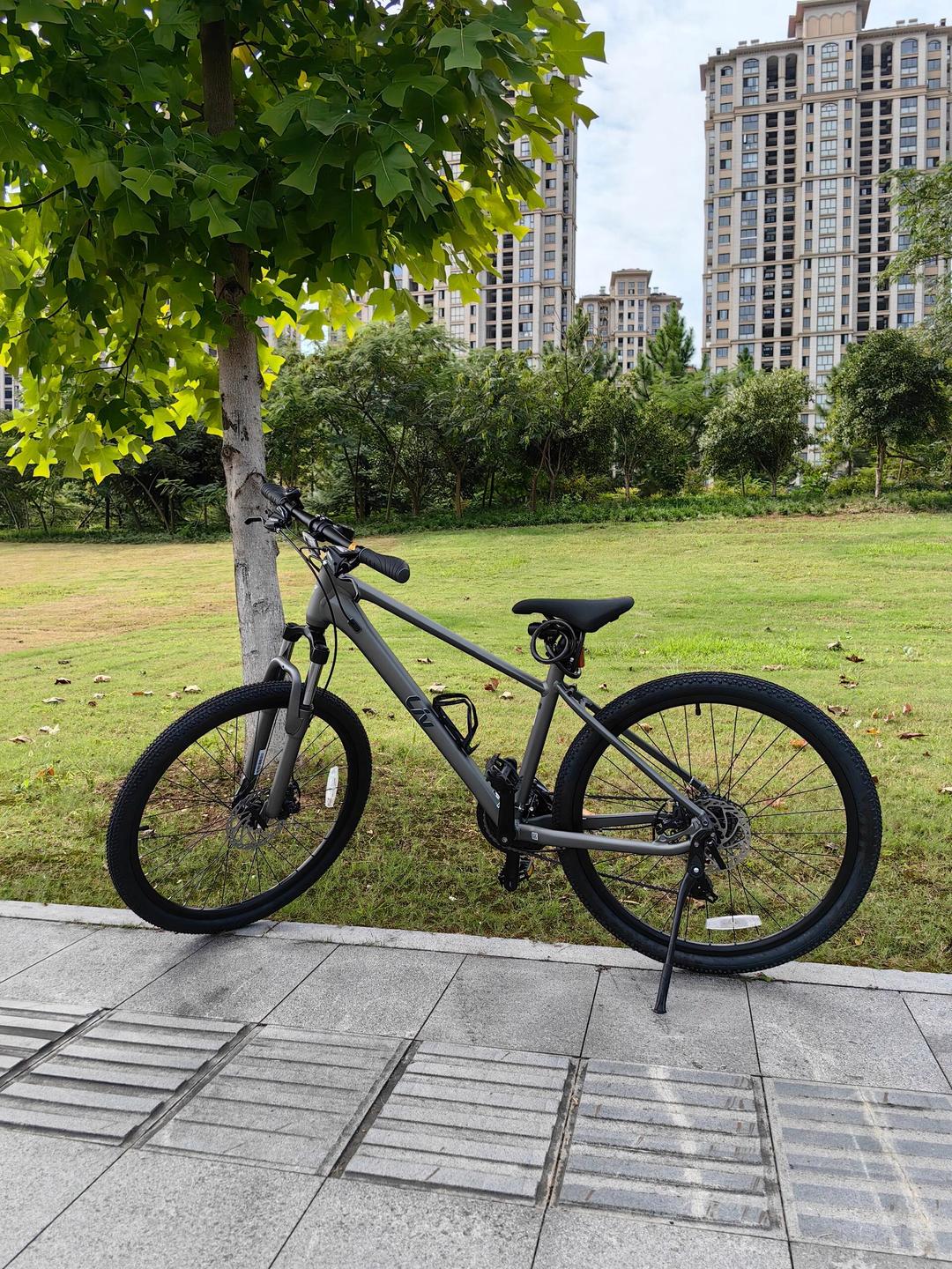 大愛捷安特自行車咪咪 騎行之旅:捷安特山地車 為了陪伴兒子騎行