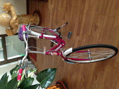 【天津市濮琪自行車】價格,廠家,圖片,自行車,天津市濮琪自行車-