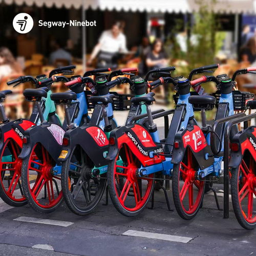 九號公司上半年業績創新高,實現營收66.66億元